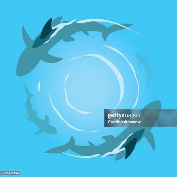 ilustraciones, imágenes clip art, dibujos animados e iconos de stock de tiburones en el mar - flipper