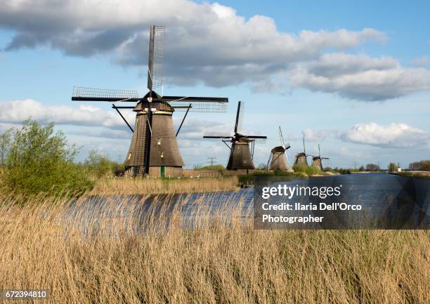 wildmill in kinderdijk - gloomy swamp stock pictures, royalty-free photos & images