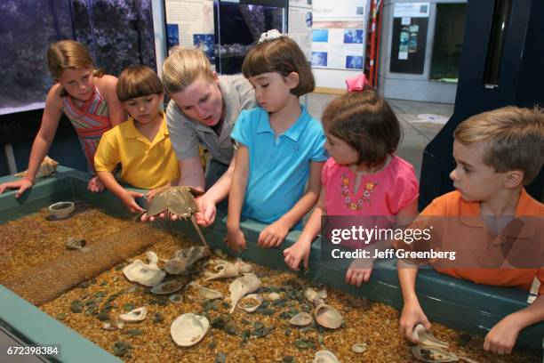 Children at a hands on exhibit in The Estuarium.