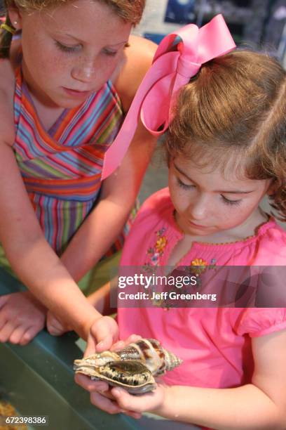 Girls looking at some shells in The Estuarium.