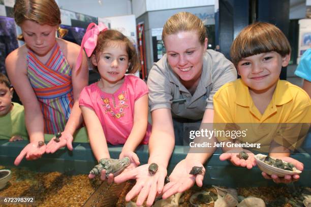 Children at a hands on exhibit in The Estuarium.