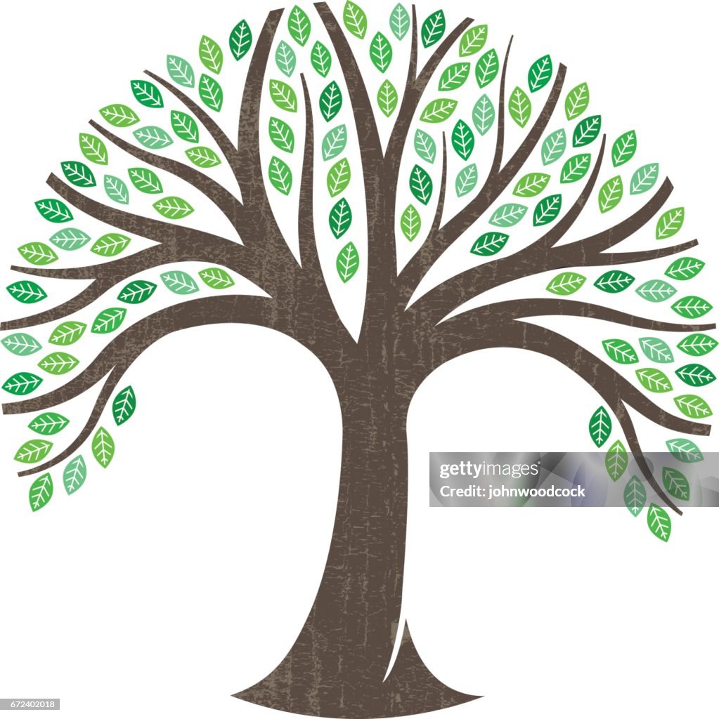 Logo illustrazione grafica dell'albero rotondo