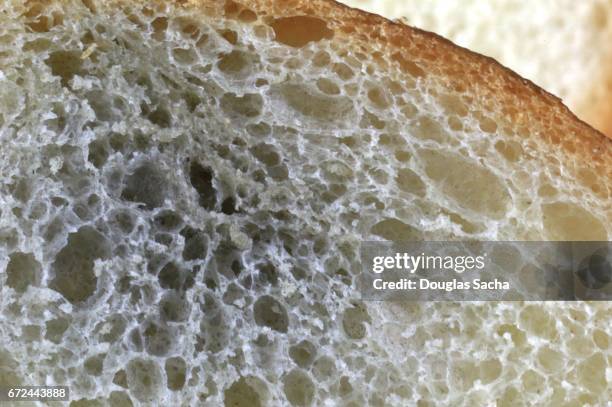 close up of moldy bread - moldy bread stock pictures, royalty-free photos & images