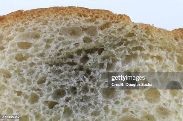 full frame of moldy bread - moldy bread stock pictures, royalty-free photos & images