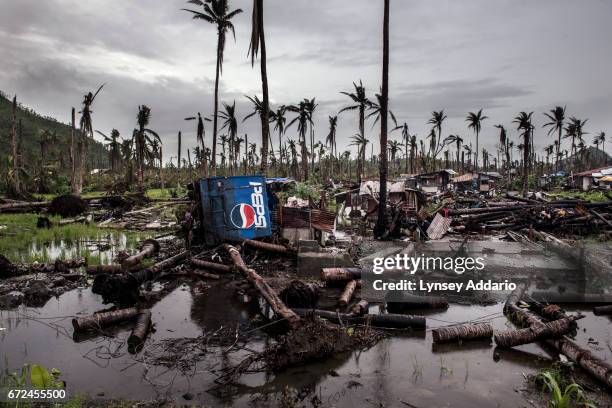 Typhoon Haiyan hit the Philippines on November 8 and killed some six thousand people, and affected some 14.1 million others, destroying their homes,...