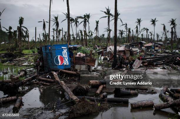 Typhoon Haiyan hit the Philippines on November 8 and killed some six thousand people, and affected some 14.1 million others, destroying their homes,...