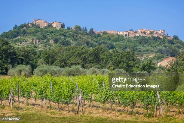 Montalcino, Siena Province, Tuscany, Italy, Typical Tuscan hill town and home of Brunello di Montalcino wine.