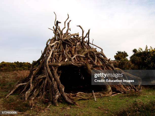 Natial Den 182 Forest Den National Park Stock Photos, High-Res Pictures, and ...