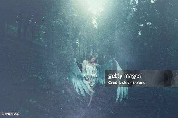 fallen angel in the forest - dark angel stock pictures, royalty-free photos & images