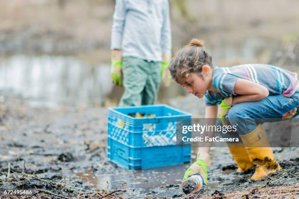 litter - watershed 2017 stock pictures, royalty-free photos & images