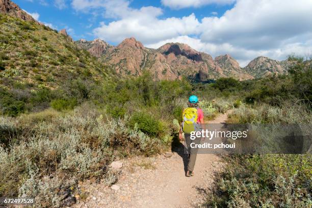 frau beim wandern in big bend national park, texas, usa - frau schön kaktus stock-fotos und bilder