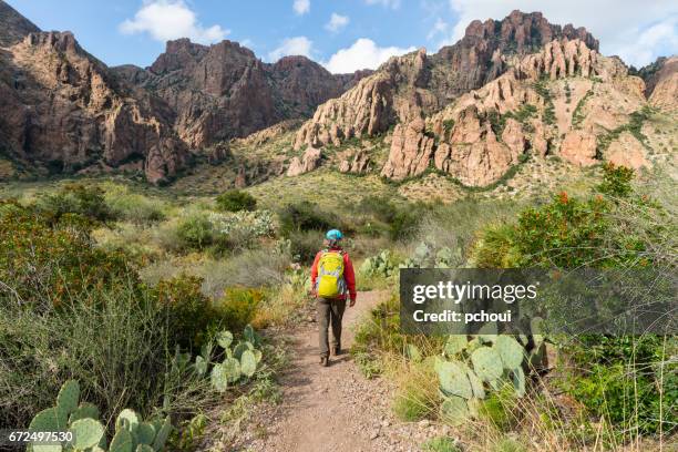 woman hiking in big bend national park, texas, usa - big bend national park stock pictures, royalty-free photos & images