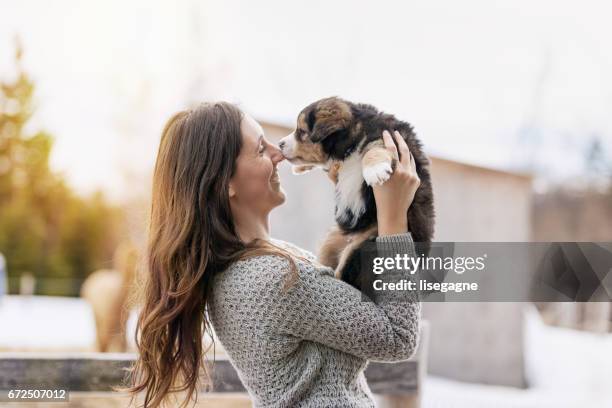 frau mit welpen - rassehund stock-fotos und bilder