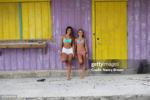 pigs (piglet & sow) & teen girls in the exuma islands in the bahanas. - girls in bras fotos stock-fotos und bilder