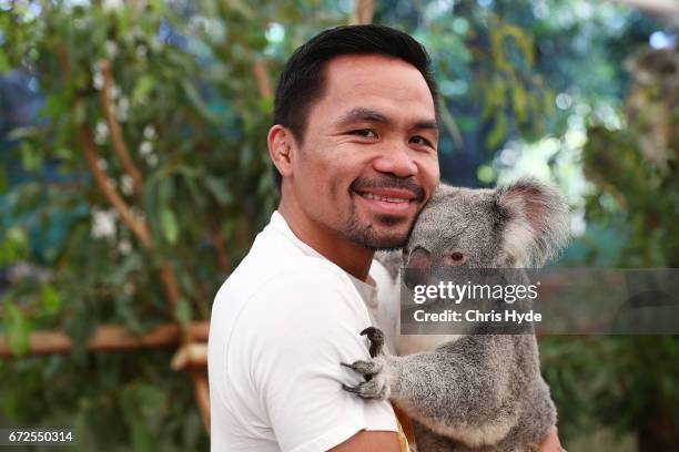 Manny Pacquiao holds Tinkerbell the koala during a visit to Lone Pine Koala Sanctuary. Pacquiao is in Australia to promote his upcoming fight with...