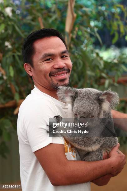 Manny Pacquiao holds Tinkerbell the koala during a visit to Lone Pine Koala Sanctuary. Pacquiao is in Australia to promote his upcoming fight with...