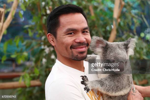 Manny Pacquiao holds Tinkerbell the koala during a visit to Lone Pine Koala Sanctuary. Pacquiao is in Australia to promote his upcoming fight with...