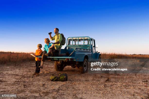 pareja busca - safari fotografías e imágenes de stock