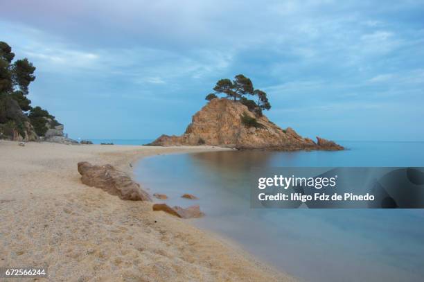 platja cap roig- sant antoni de calonge-costa brava- catalonia -spain - feldspar stock pictures, royalty-free photos & images