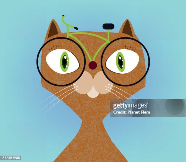cat wearing bicycle style glasses - cycling event stock illustrations