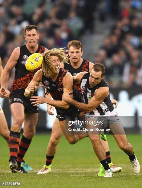 Dyson Heppell of the Bombers handballs whilst being tackled by Steele Sidebottom of the Magpies during the round five AFL match between the Essendon...