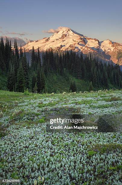 glacier peak north cascades - wildnisgebiet glacier peak stock-fotos und bilder
