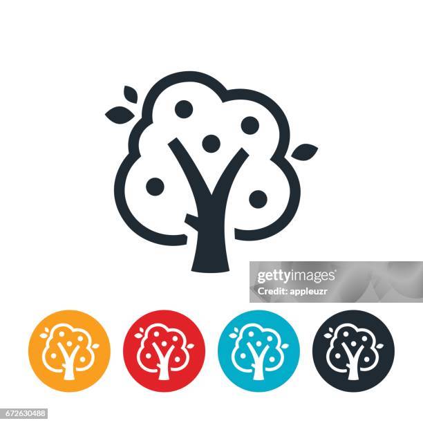 apple tree icon - apple tree stock illustrations