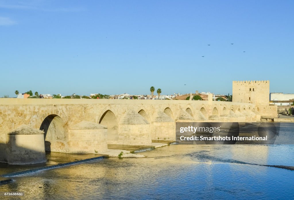 Roman bridge in Cordoba under the sunlight of a warm spring evening, Spain
