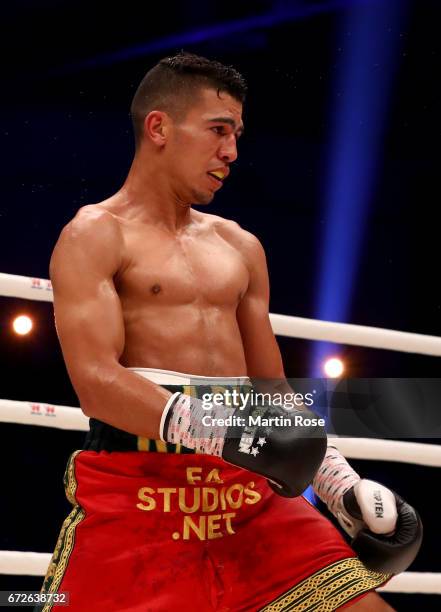 Mohammed Rabii of Morocco in action against Jean Pierre Habimana of Belgium during their super welterweight fight at Messehalle Erfurt on April 22,...