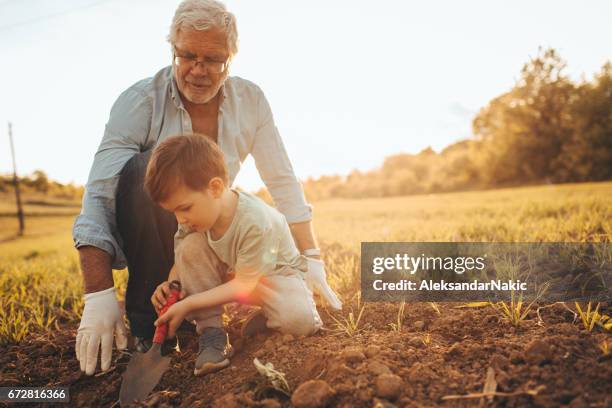 gardening with my grandson - daytime activities stock pictures, royalty-free photos & images