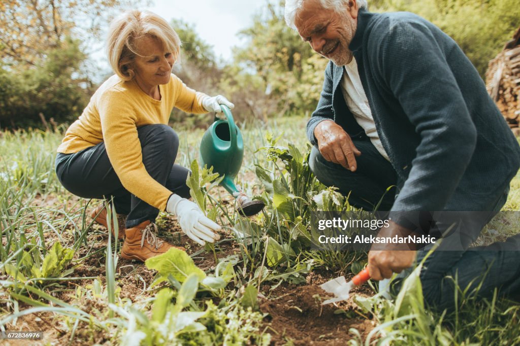 Juntos de jardinagem