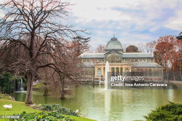 palacio de cristal - parque público 個照片及圖片檔