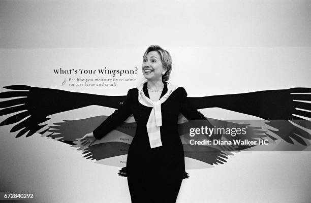 Senator Hillary Rodham Clinton checks her 'wingspan' on July 28, 2001 at the Roger Tory Peterson Institute of Natural History in Jamestown, New York....