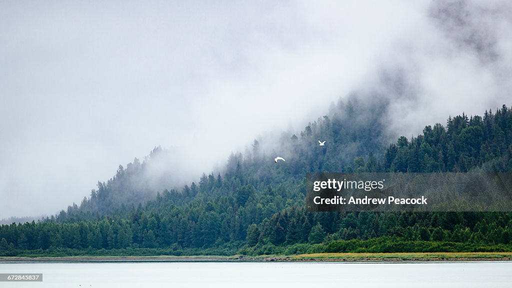 Muir Inles, Glacier Bay National Park.
