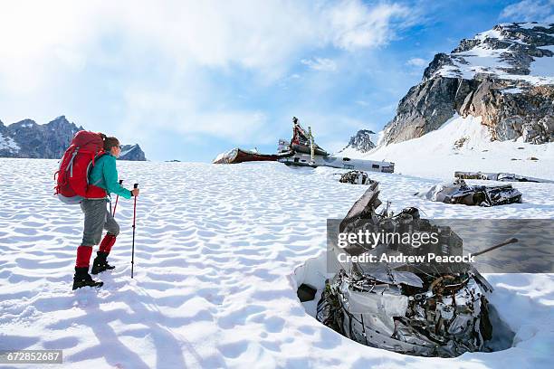 woman hiking in the talkeetna mountains - talkeetna stock pictures, royalty-free photos & images