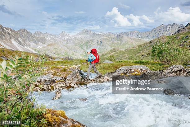woman hiking in the talkeetna mountains - talkeetna stock pictures, royalty-free photos & images