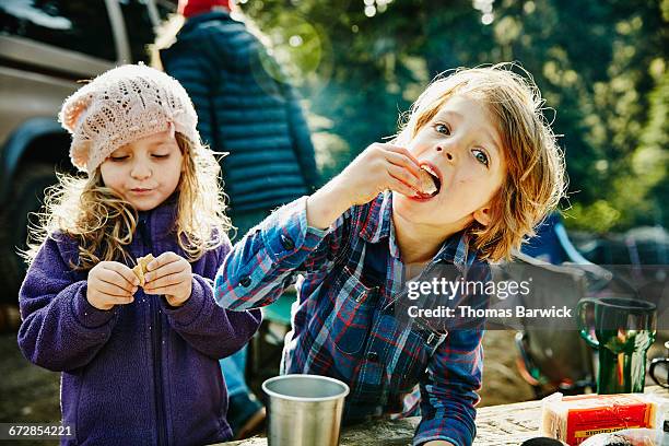 siblings eating graham crackers while camping - crackers stock-fotos und bilder