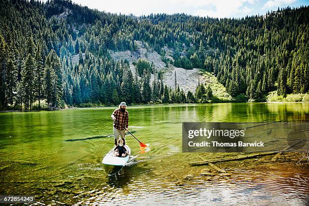 father and son on standup paddle board on lake - paddle board men imagens e fotografias de stock