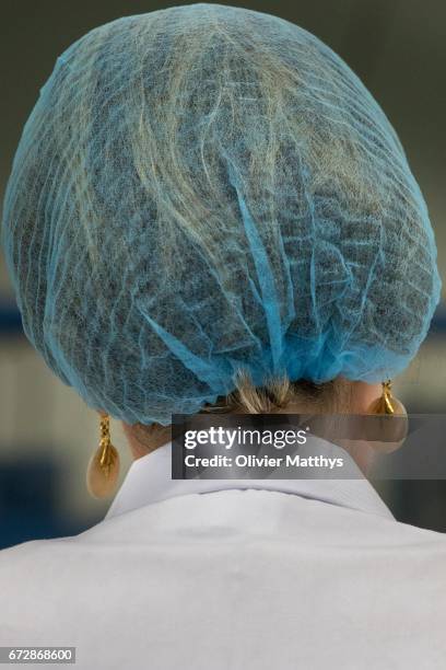 Queen Mathilde of Belgium visit the Wase Werkplaats on April 25, 2017 in Temse, Belgium.