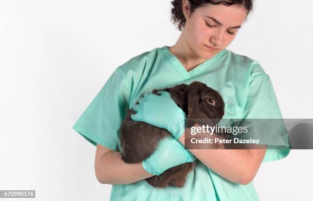 Vet Slacking 172 Trainee Vet Stock Photos, High-Res Pictures, and Images - Getty Images