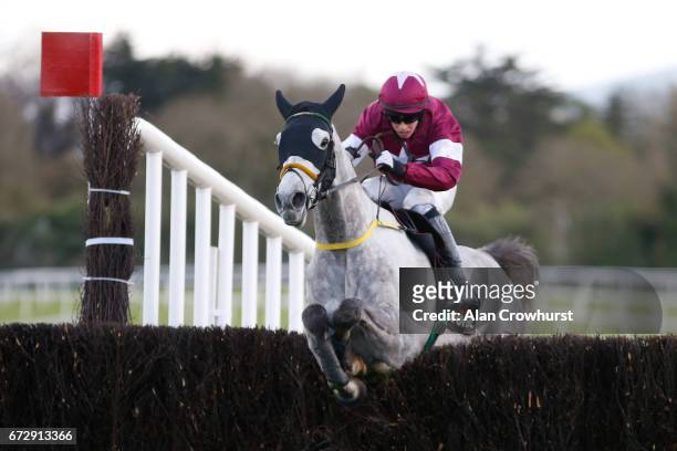 Bryan Cooper riding Disko cler the last to win The Growise Champion Novice Steeplechase at Punchestown racecourse on April 25, 2017 in Naas, Ireland.