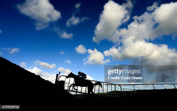Kildare , Ireland - 25 April 2017; Disko, with Bryan Cooper up, jump the last on their way to winning the Growise Champion Novice Steeplechase at...