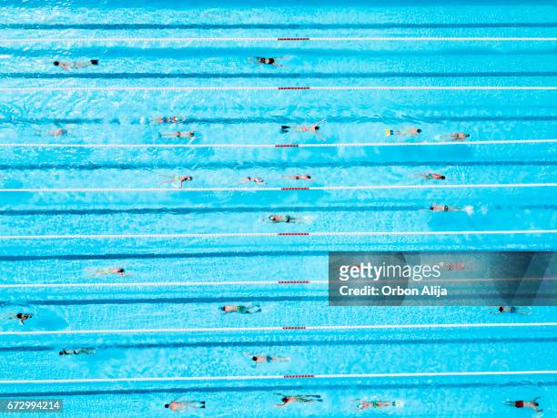 luftaufnahme der schwimmer in einem blauen pool - aerial pool stock-fotos und bilder