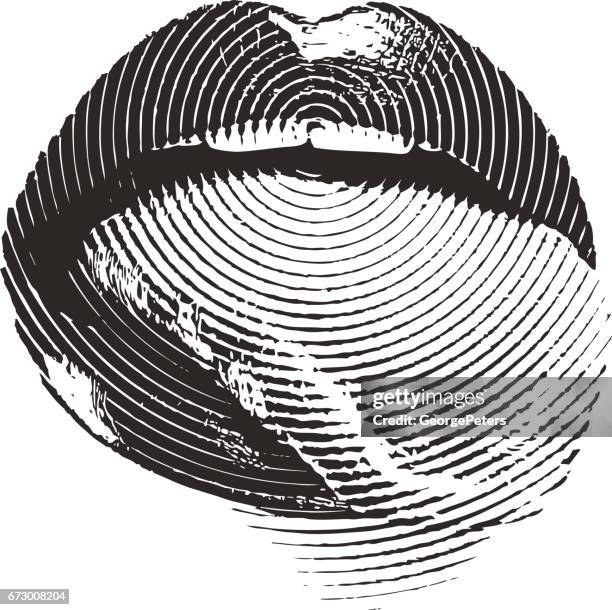 frau mund und lippen mit der zunge heraus. isoliert auf weiss. - siebdruck stock-grafiken, -clipart, -cartoons und -symbole