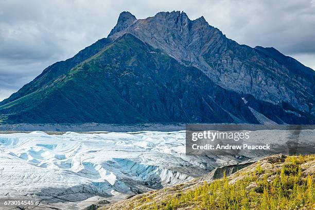 root glacier trail - root glacier stock-fotos und bilder