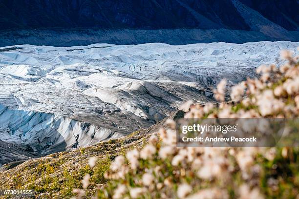 root glacier trail - kennecott stock pictures, royalty-free photos & images