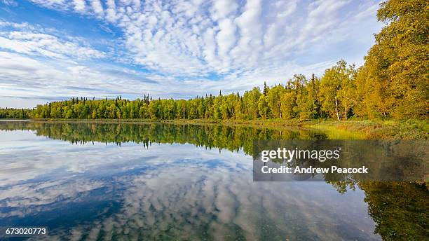 z lake reflections - talkeetna stock pictures, royalty-free photos & images