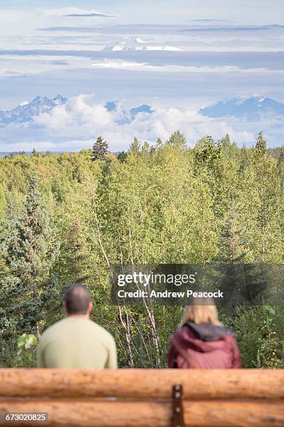 tourists view denali  from lookout - mt mckinley stock pictures, royalty-free photos & images