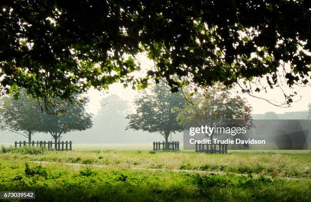 stourbridge common, cambridge - stourbridge stock pictures, royalty-free photos & images