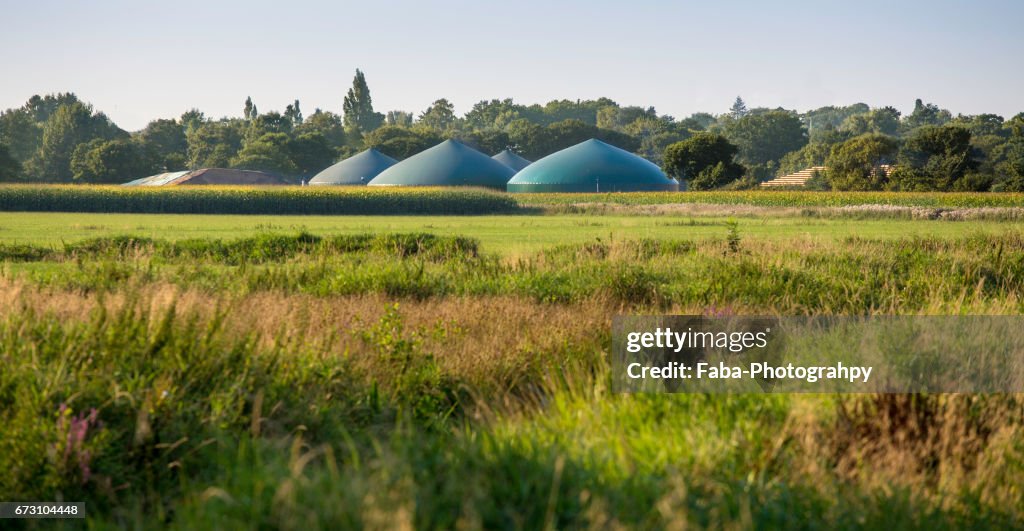 Biogas plant
